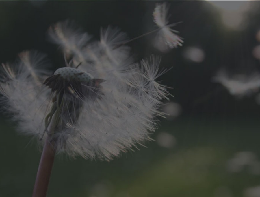 山东贝维泽环保科技有限公司