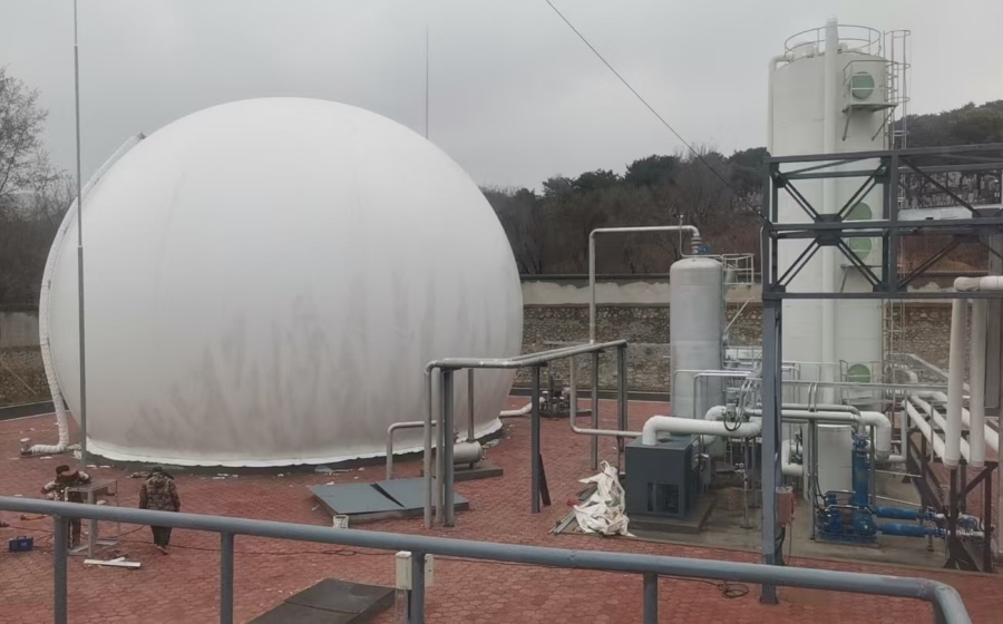 鞍山沼气生物脱硫